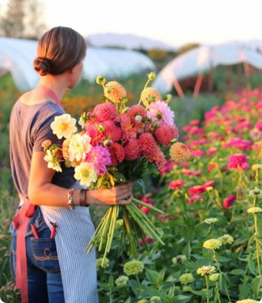 Flower Brokerage